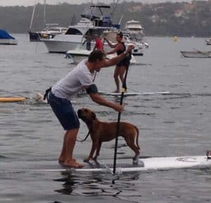 Bondi Rescue Andrew Reid and his dog Muggsy