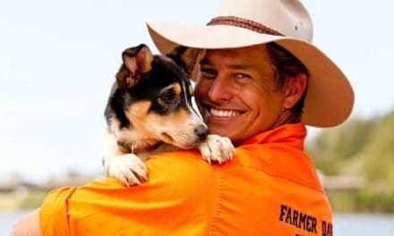 Farmer Dave works with his dog, Matilda