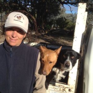 Di Ridge runs a sheep station with 3 working dogs