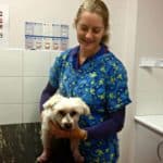 Dr Cathie gives 14 year old Toby his 6 monthly check up. 