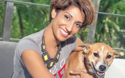 What do Sri Lankan street dogs and fashion have in common?
