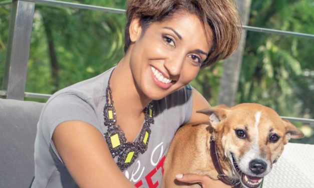 What do Sri Lankan street dogs and fashion have in common?