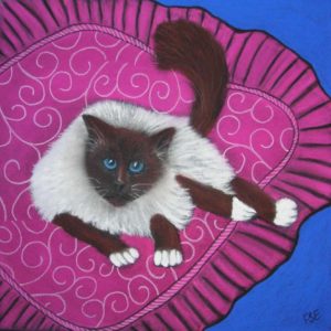Cat greeting cards competition