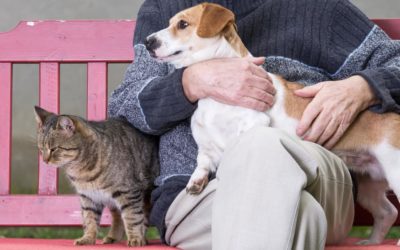 Who will look after your pet when you’re gone?