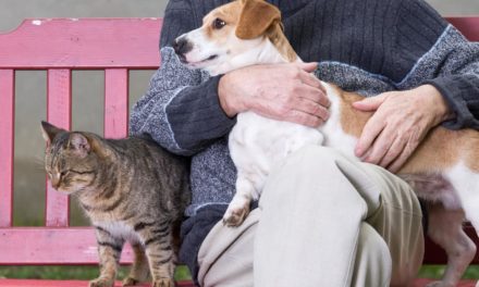Who will look after your pet when you’re gone?