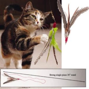 New Year resolutions for pets - Cat playing with Da Bird toy