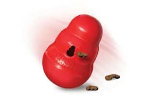 New Year resolutions for pets - Kong Wobbler