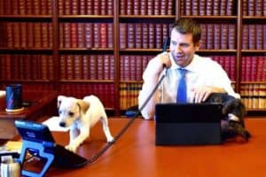 Puppy farms Inquiry Premier Mike Baird with puppies
