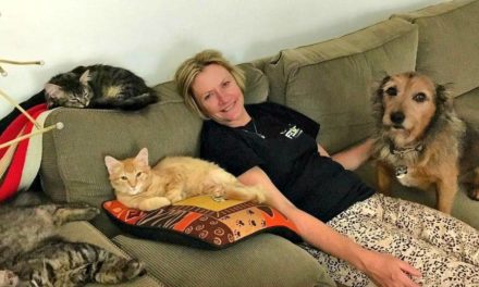 Dr Joanne Righetti introduces 3 kittens to a dog podcast