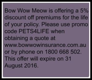 Bow Wow meow response to Choice pet insurance review special offer for Pets4Life