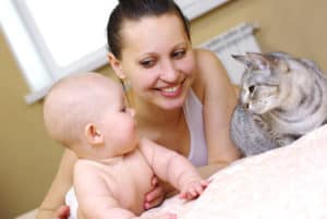 Cats and babies myth busting