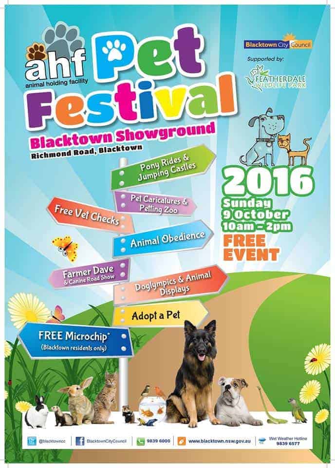 Blacktown City Pet Festival 2016 Pets4Life Dog Training