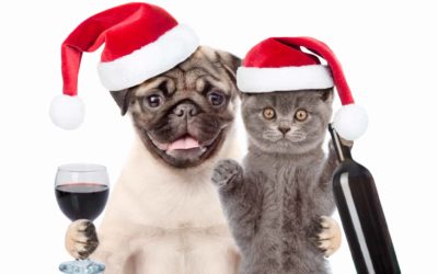Festive food and pets don’t mix