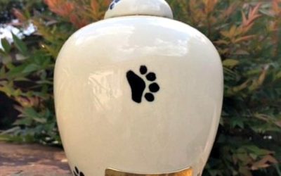 Pet loss 5 ways to commemorate your pet