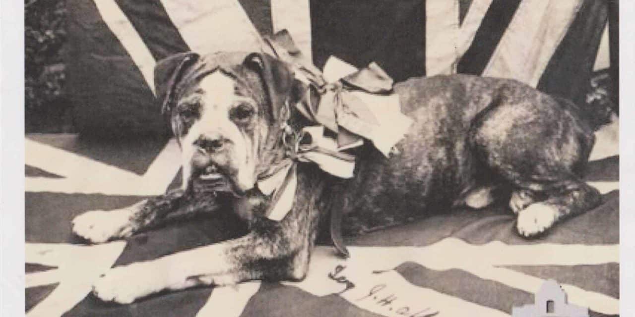 Digger the ANZAC War Dog bravery to be commemorated