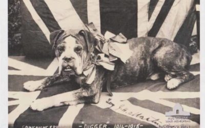Digger the ANZAC War Dog bravery to be commemorated