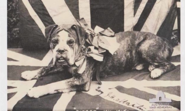 Digger the ANZAC War Dog bravery to be commemorated
