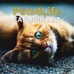 Pets4Life Cats podcast