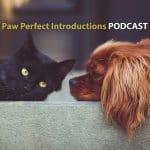 Paw Perfect Introductions, a dog and cat podcast by Pets4Life