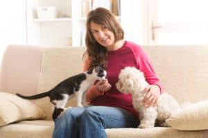 How to introduce a dog or puppy to your cat podcast