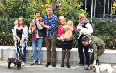 Aussie pets fetch $2 billion in public health care savings