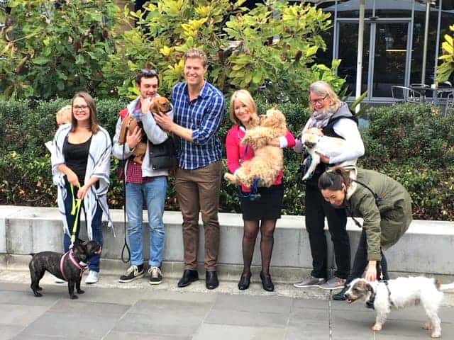 Aussie pets fetch $2 billion in public health care savings