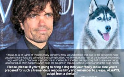 Game of Thrones star asks fans stop buying Huskies