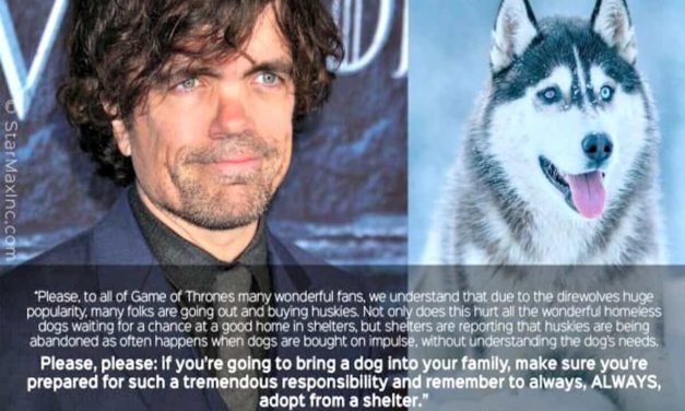 Game of Thrones star asks fans stop buying Huskies