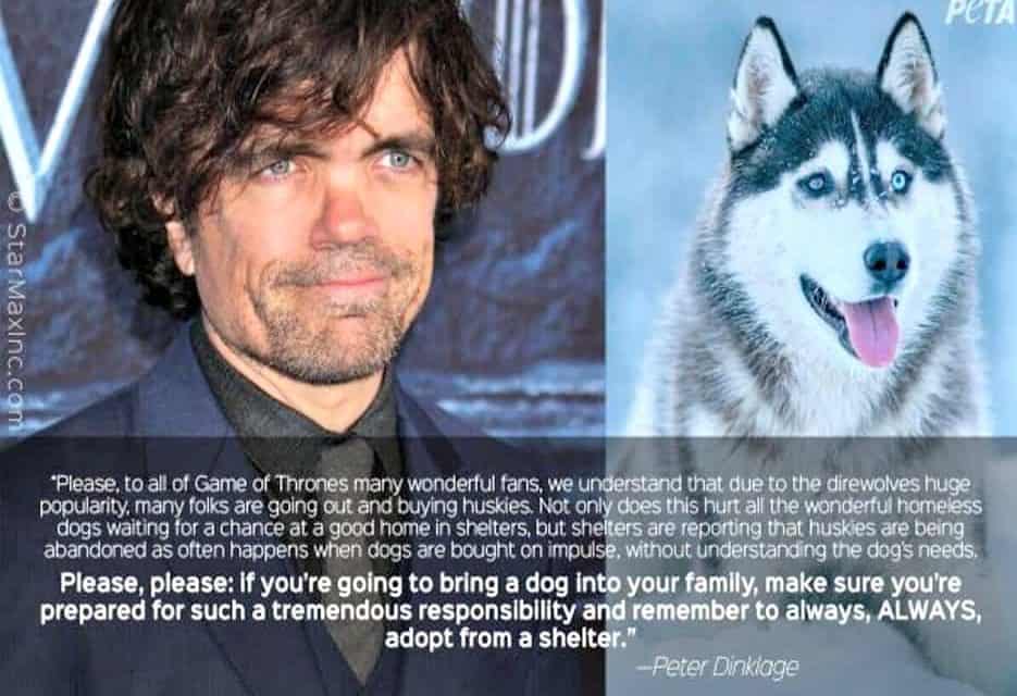 Game of Thrones star asks fans stop buying Huskies