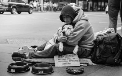 Pets In The Park free vet care for homeless people’s pets