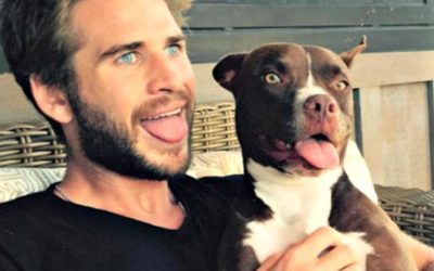 Actor Liam Hemsworth ‘Doggy Dad of the Year’