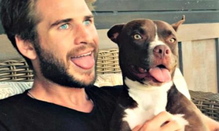 Actor Liam Hemsworth ‘Doggy Dad of the Year’