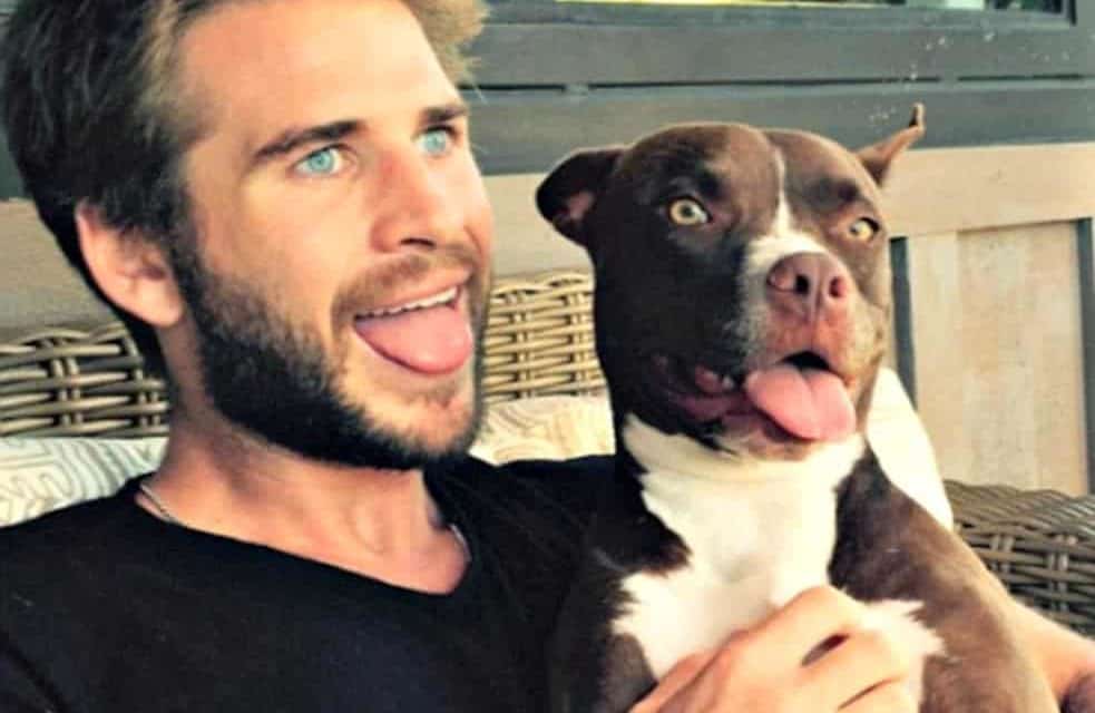 Actor Liam Hemsworth ‘Doggy Dad of the Year’