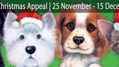 Give a Dog a Bone, Keep Kitty Happy Christmas Appeal 2017
