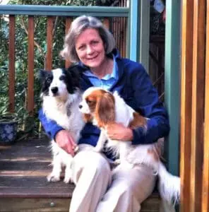 Dr Georgina Child explains seizures in dogs podcast