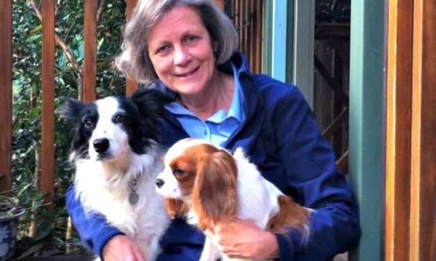 Veterinary Neurologist Dr Georgina Child explains back pain in pets