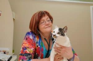 Cat Vet Dr Kim Kendall explains arthritis in cats