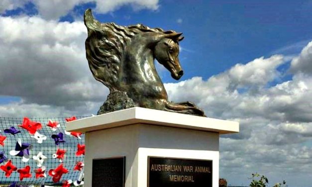 Australian WWI war animals honoured in Pozieres