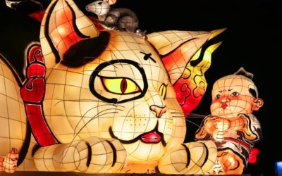 Cats in Japanese idioms