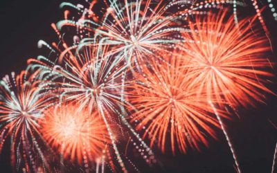 Pets and fireworks tips from RSPCA Australia