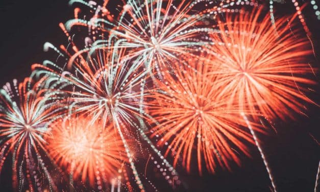 Pets and fireworks tips from RSPCA Australia
