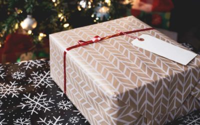 A pet for Christmas beware of online shopping