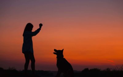Show unconditional love for your dog on Valentine’s Day
