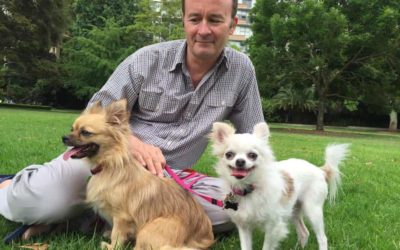 James Dorahy and his two adopted Chihuahuas