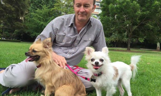 James Dorahy and his two adopted Chihuahuas