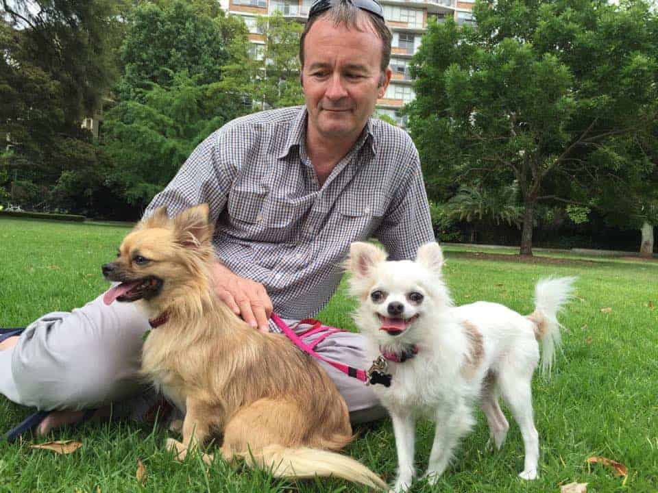 James Dorahy and his two adopted Chihuahuas - Pets4Life Dog Training