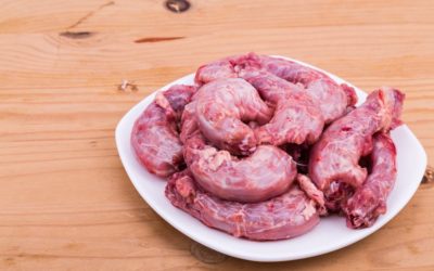 RAW CHICKEN UNLIKELY TO CAUSE PARALYSIS IN DOGS says Dogs First
