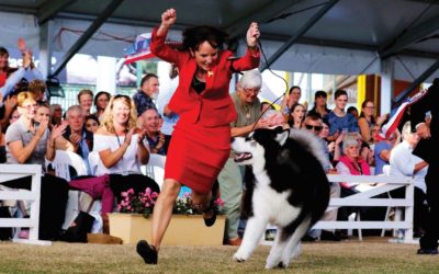 Advance Sydney Royal Dog Show 2018