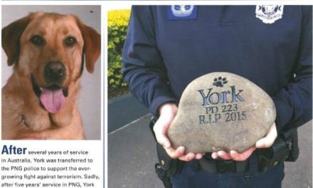 Aussie police dog honoured in PNG