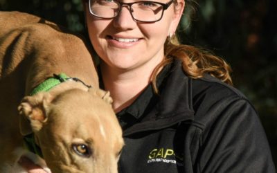 Diana Rayment’s top tips for greyhound adoption